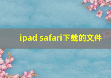 ipad safari下载的文件